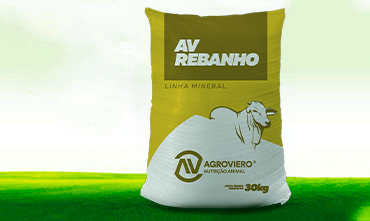 AV REBANHO